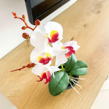 Oceanfront Apartment *