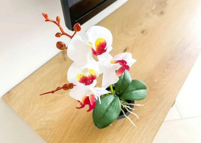 Oceanfront Apartmán *